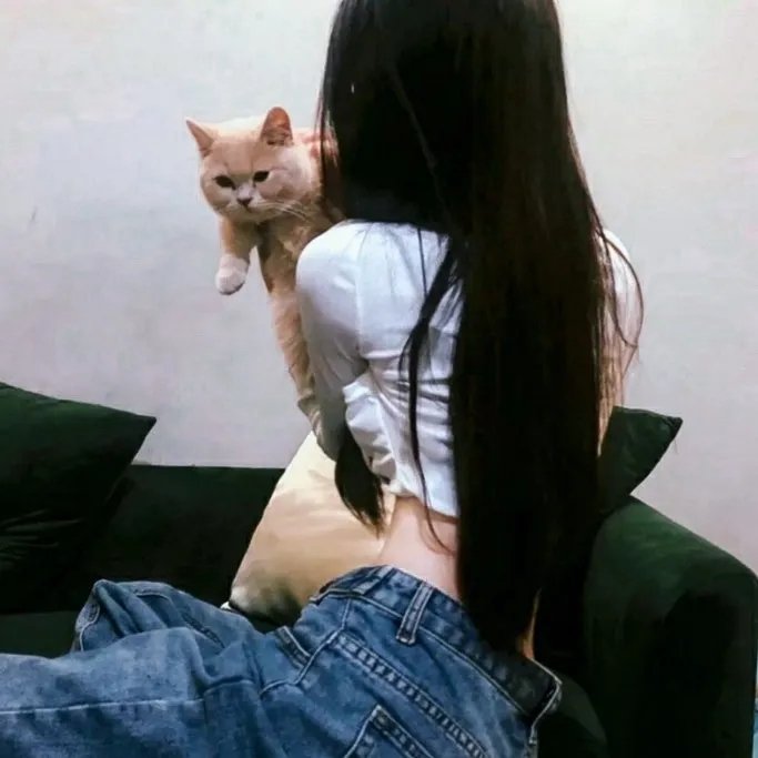 最后的光辉